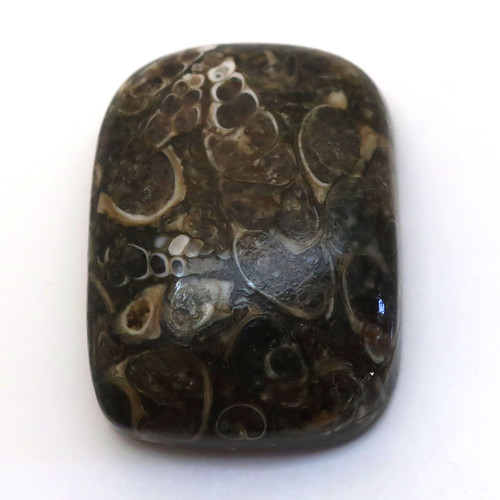 Kabošon turritella obdelník 26mm