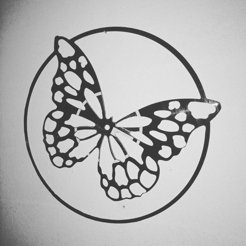Vinyl art Motýl