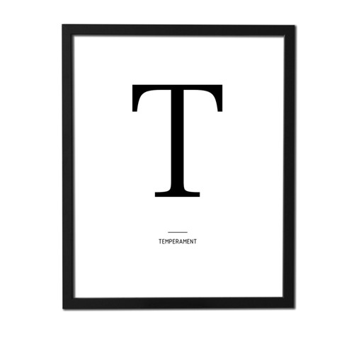 Plakát písmeno – T (temperament)