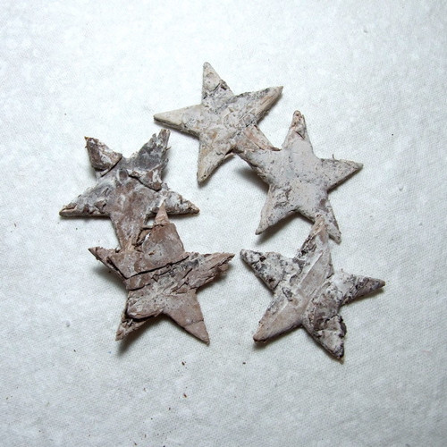 Hvězdičky z březové kůry 4 cm - 5 ks
