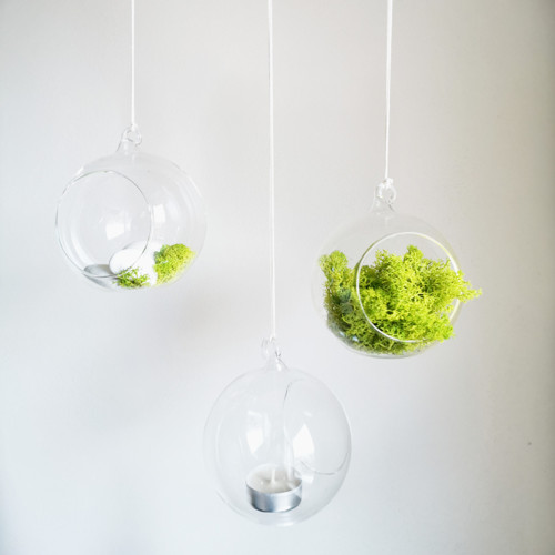 Aerarium koule — foto 1