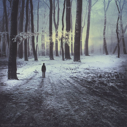 Location:Silence (Part.XXIII.)