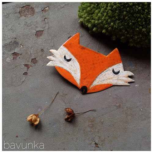 Liška — foto 1