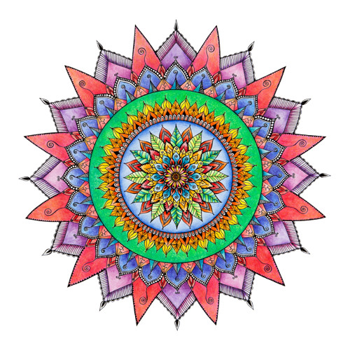 Mandala (královská duhovka)