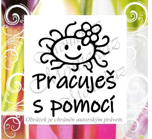 Pracuješ s pomocí květina 140 b). Razítko.