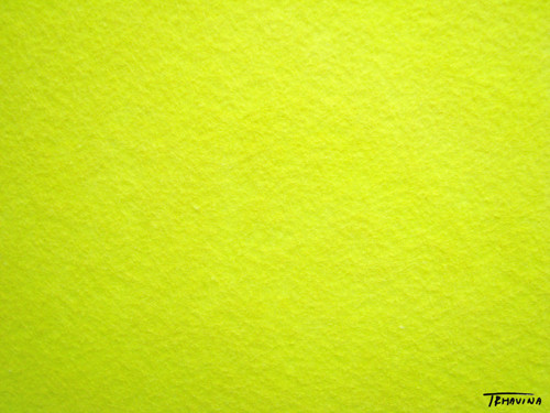 Plst - citronová — foto 1