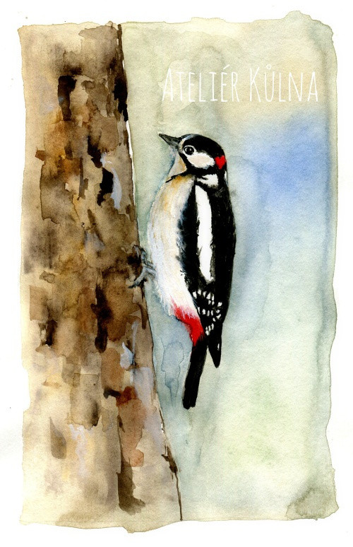 *Strakapoud* 13,5x22cm