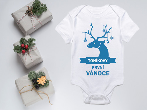 Vánoční body se jménem a sobem I.