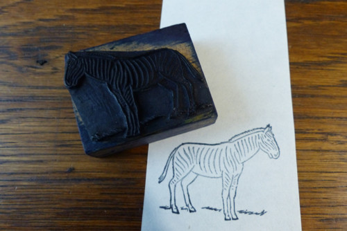 Zebra...staré tiskátko, razítko