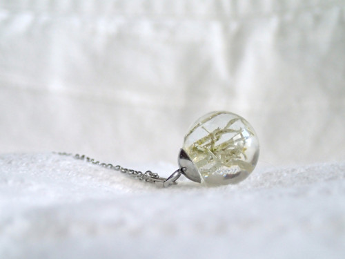 Frosty moss — foto 1