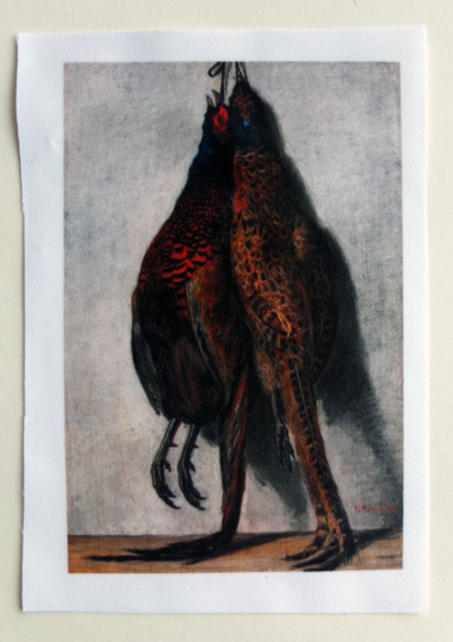 Látkový panel Koroptve 10 cm x 15 cm