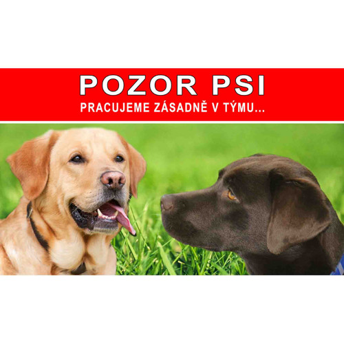 Výstražná cedulka se psem 25x15cm