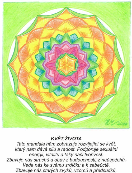 Květ života-kartičky 10x13