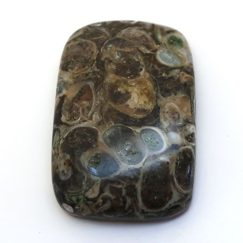Kabošon turritella obdelník 32mm