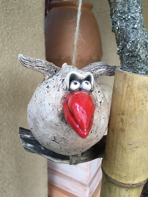 Pták s červeným zobákem — foto 1