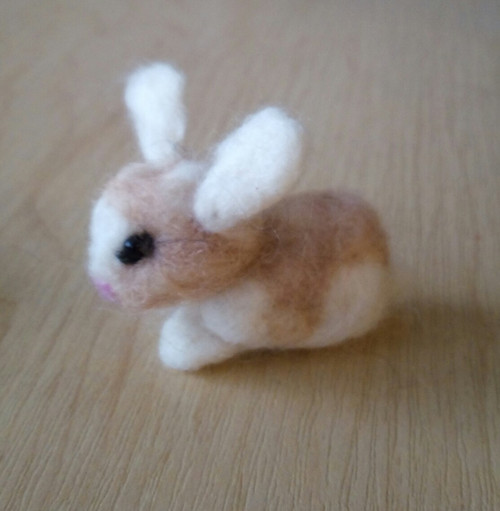 Králík - mini zvířátka — foto 1
