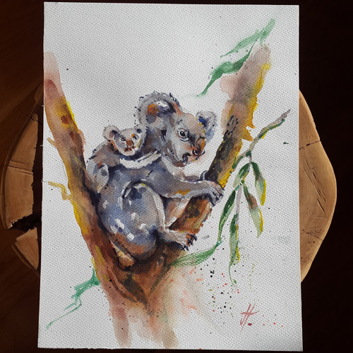 Koala a mládě