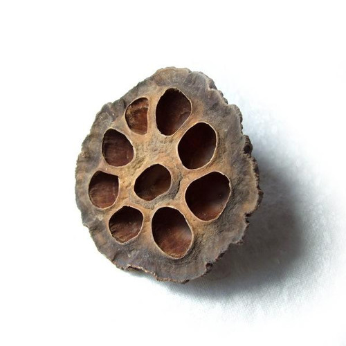 Lotosový květ střední 5 - 7 cm