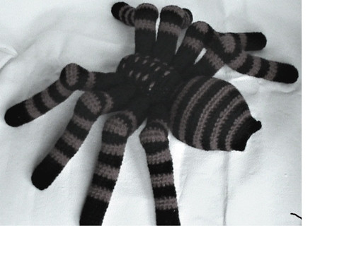 Arachno šedočerný — foto 1