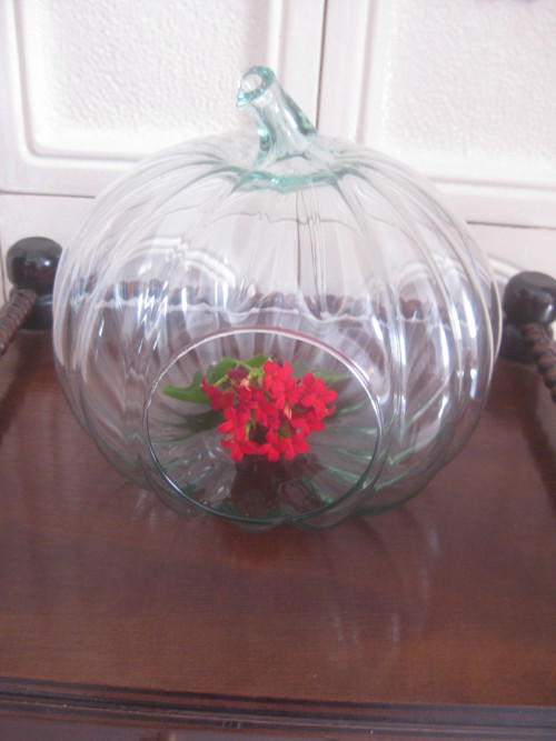 Retro florárium ve tvaru dýně — foto 1