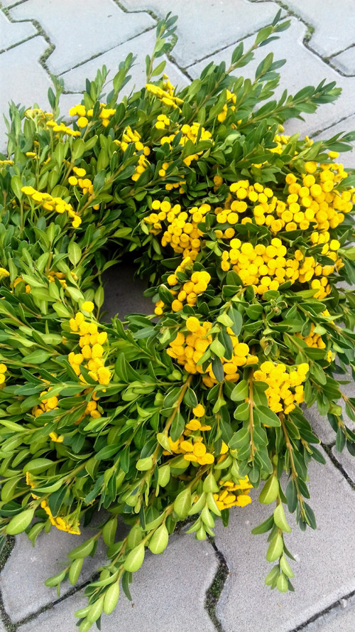 Věnec buxus s vratičem — foto 1