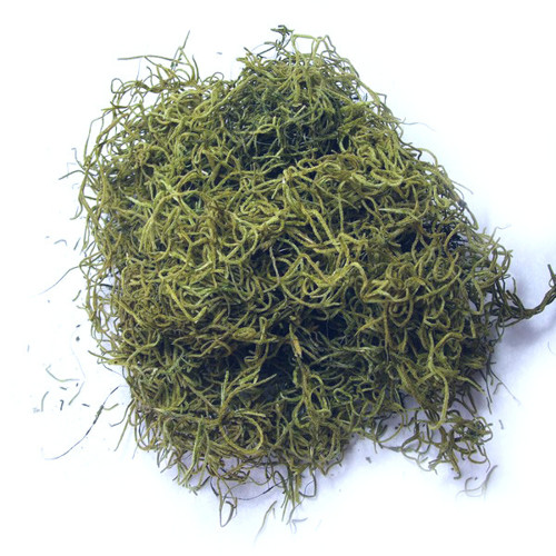 Sušená Tillandsia 50 g zelená