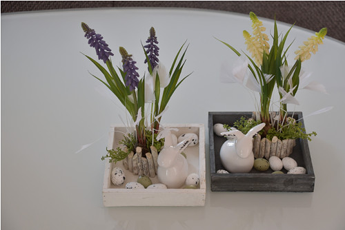 Dekorace Muscari — foto 1