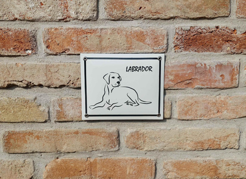 Labrador — foto 1
