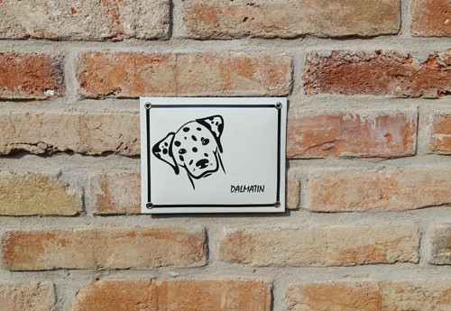 Dalmatin