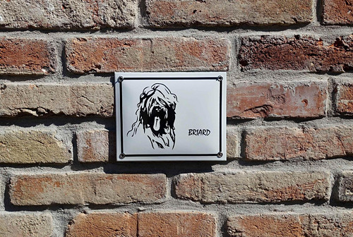 Briard — foto 1