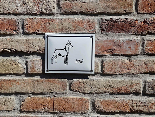 Pinč