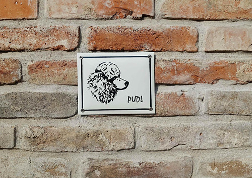 Pudl — foto 1