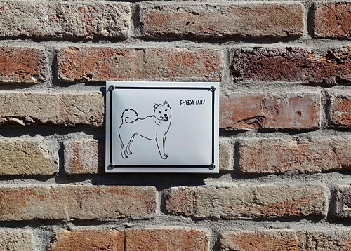 Shiba Inu — foto 1