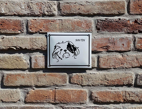 Shih Tzu