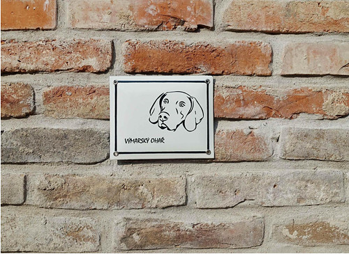 Výmarský ohař — foto 1