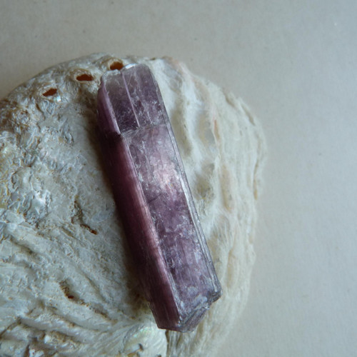Lepidolit - 5,6 cm - Extra — foto 1