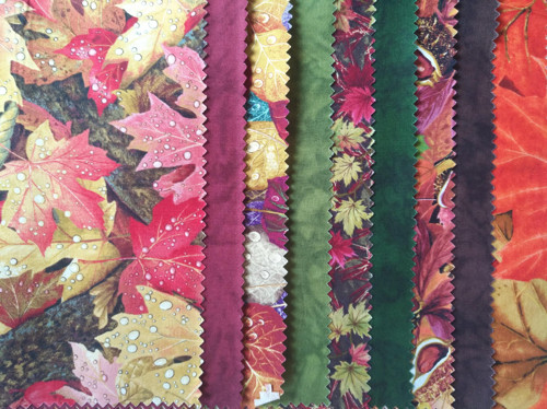 Sada Autumn into Winter 03601 — foto 1