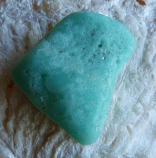 Chrysopras - 2,7 cm - Extra