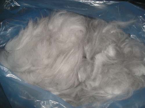 Angora — foto 1