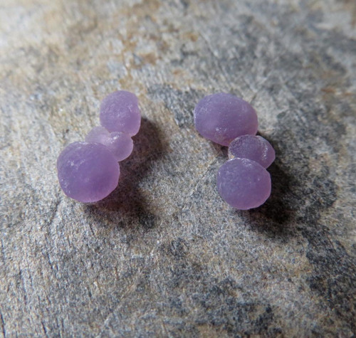 Třpytivý Grape Chalcedon Indonésie, pár č.3 — foto 1