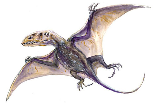 Dimorphodon - nažehlovačka — foto 1