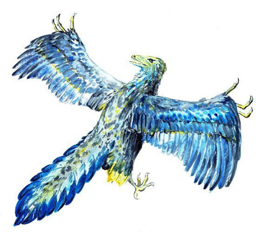 Archeopteryx - prapták - nažehlovačka — foto 1