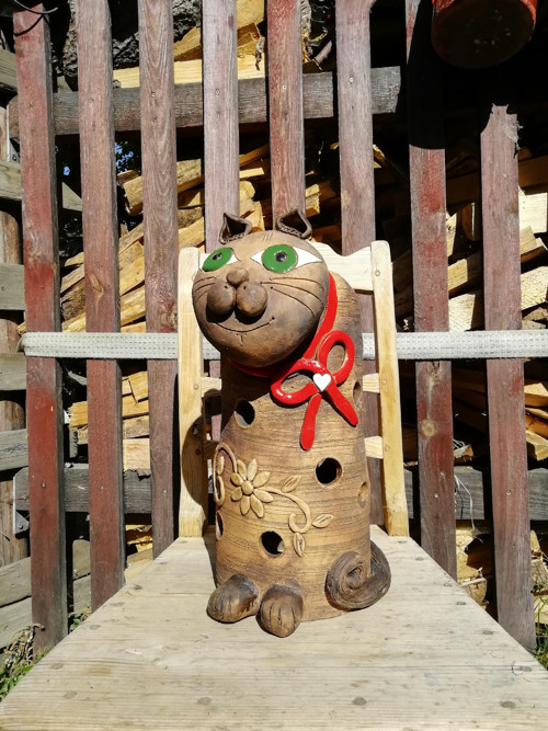 Kočka