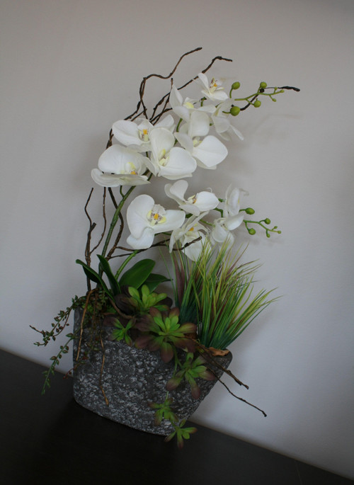 Orchideje a sukulenty — foto 1