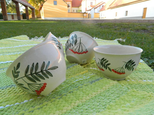 Kompotka jeřabinová — foto 1