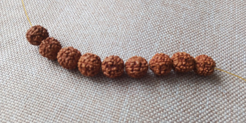 Rudraksha 9 ks — foto 1