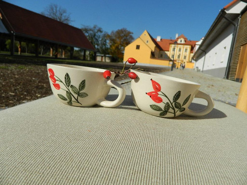 Šípkový čajánek