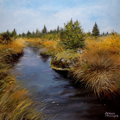 Šumava - Rokytka - orig. akryl — foto 1