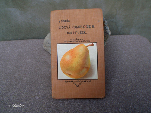 100 HRUŠEK — foto 1