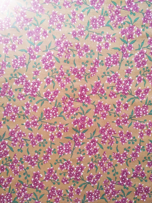 Thimbleberries Border Blast 90062 — foto 1